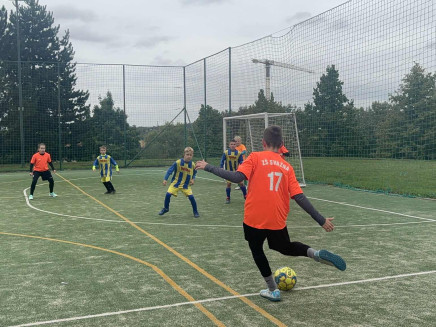 44c76c24-1065-41fd-af02-c8f628d6e786